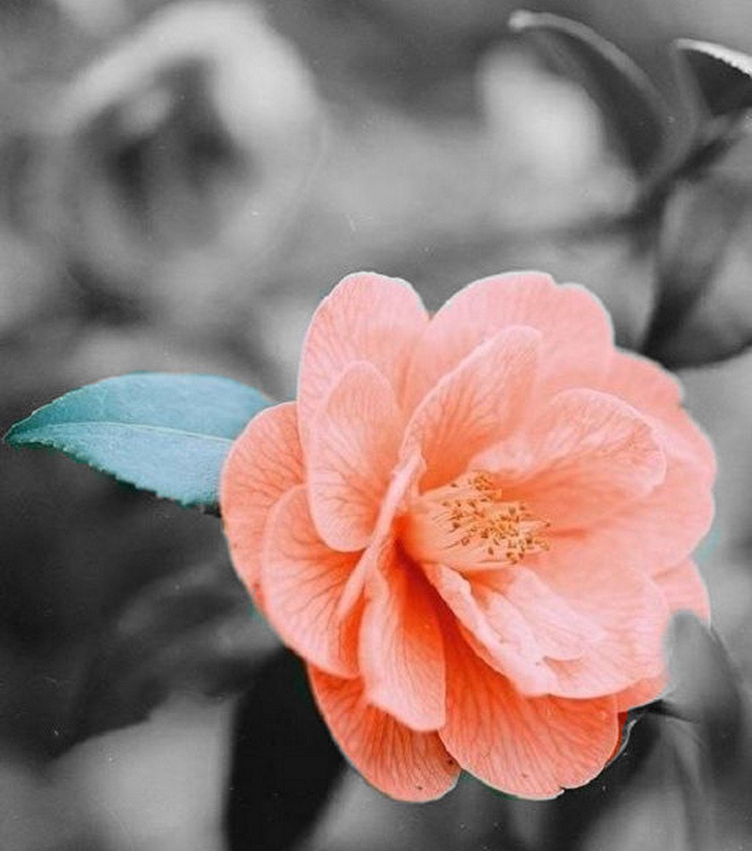 s_msonia's tweet photo. Mucha gente pequeña
Haciendo cosas pequeñas
Puede cambiar el mundo
Se el cambio que quieres ver en el mundo 🌏
#BuenasNoches
#Solidaridad
#FelizFinDeSemana
#MagicOrange https://t.co/RouUweDHHp