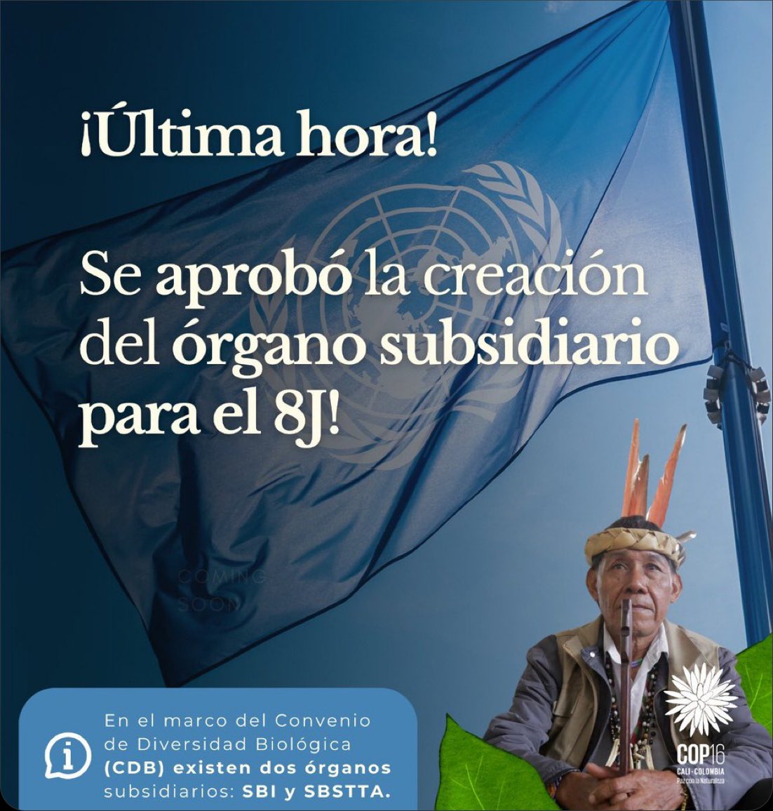 La aprobación del órgano subsidiario para el Artículo 8J constituye un gran logro en la lucha histórica de los pueblos indígenas por el reconocimiento de su autonomía, libre determinación y valoración de sus sistemas de conocimientos como fundamento para el equilibrio de la vida.