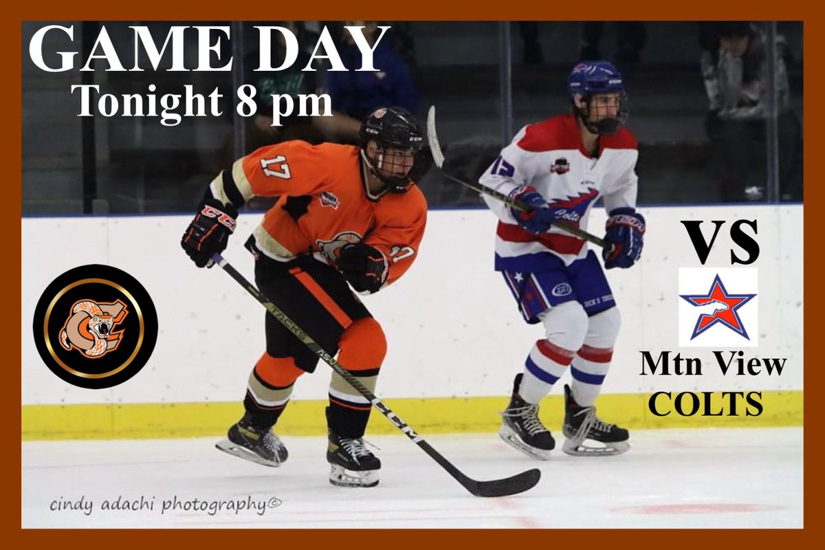 Coaldale Copperheads tweet media