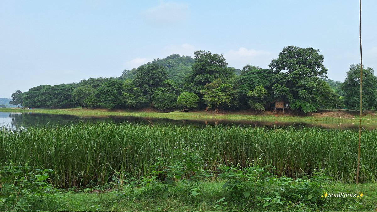 “pareshaan sab hai,
 kuch sach mai, kuch sach se.”