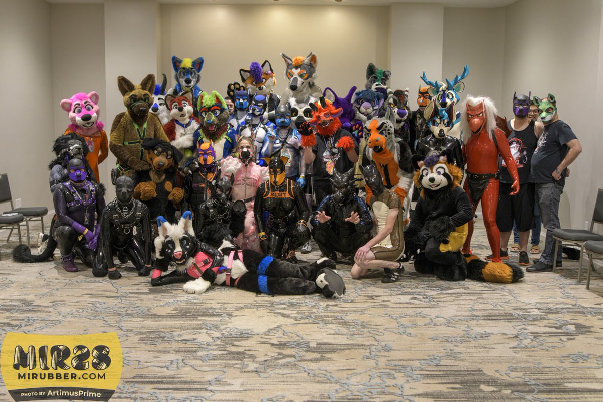 🐾 Zuki Curl @Home tweet media