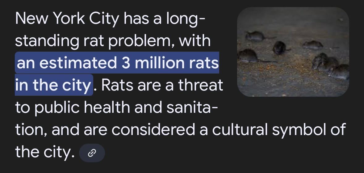 kangminlee's tweet photo. Wait so you're telling me New York Democrats killed someone’s indoor pet squirrel under the guise of a rabies concern when NYC is infested with 3 million rats? https://t.co/rjD2NXoQ3Q