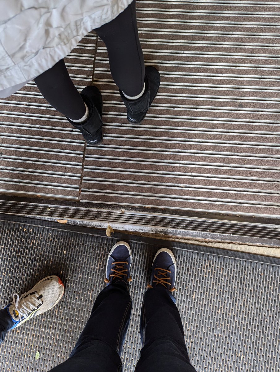 Allyson Shortle tweet media