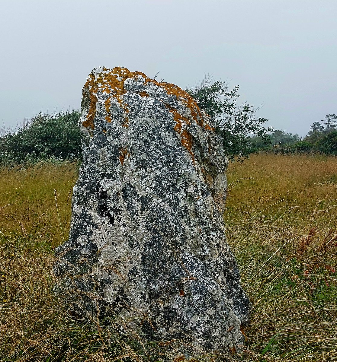CloChapuis's tweet image. Que nul féalement ne grave mon nom.
Nulle épitaphe sur la pierre.
Je veux seulement des vocables de lichen.
Et la jaune écriture que silencieusement burinent
Menhir 
Les bruines hivernales et les vents d'océan.

Xavier Grall 

#Bretagne