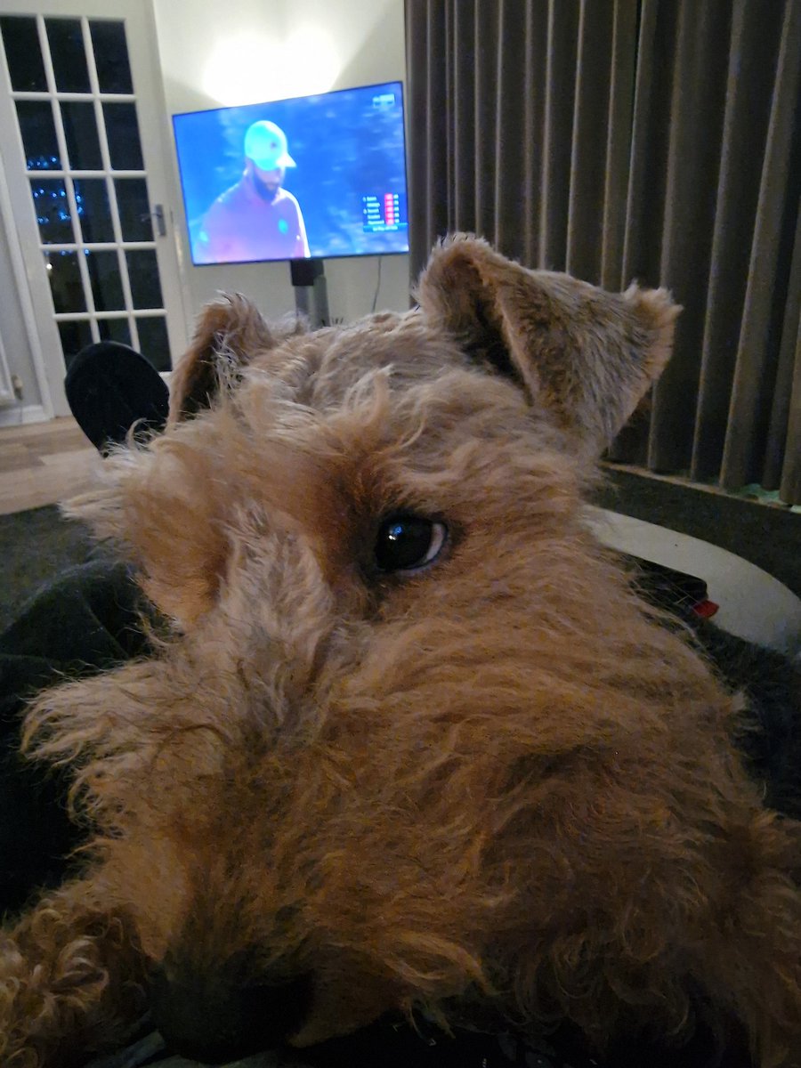 I dont like the loud bangs Mum.. To those of you comforting your fur family tonight....we will get through this xxxxx