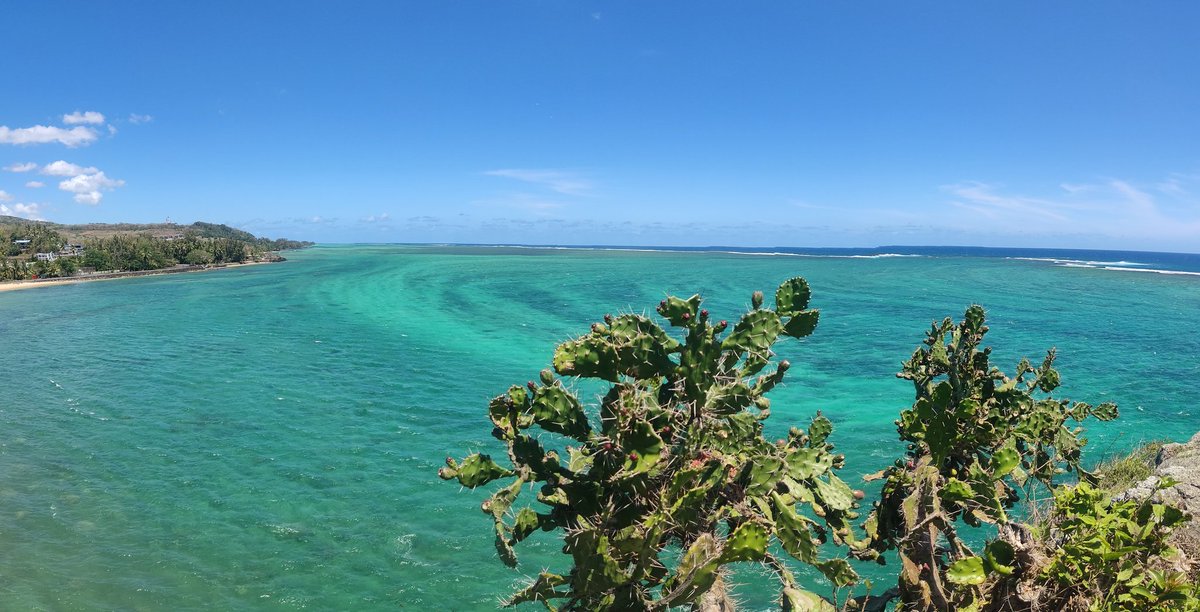 Hello_Tej's tweet image. Kurčenje pt.2