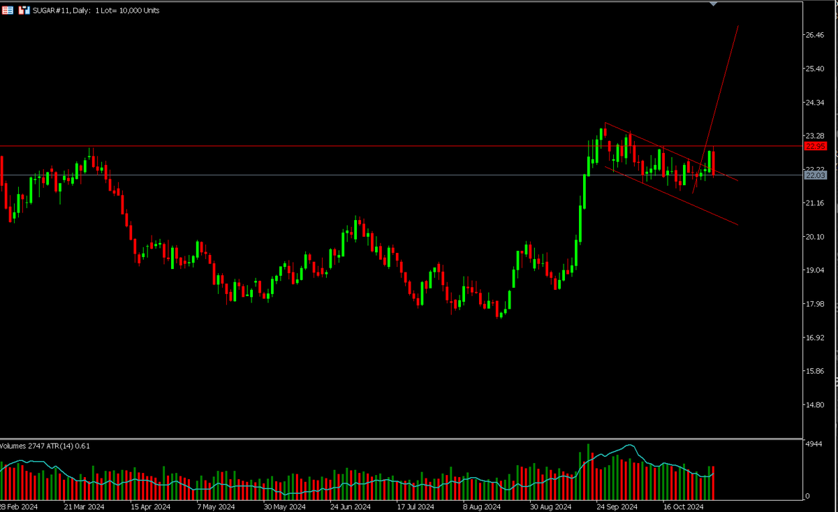 Z_man_SA's tweet photo. Sugar, if this is a retest, Monday-Tuesday it should trade higher out of the flag https://t.co/YsbC7TQaSs