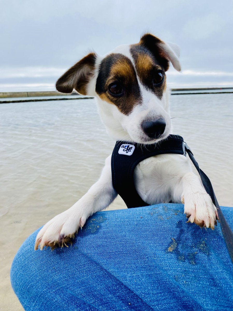 DBGRMi's tweet image. Une bien belle journée 😎