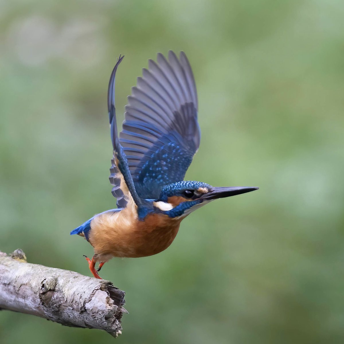 𝖢𝗅𝗈𝗌𝖾𝟤𝖱𝗂𝗏𝖾𝗋𝗌 tweet media