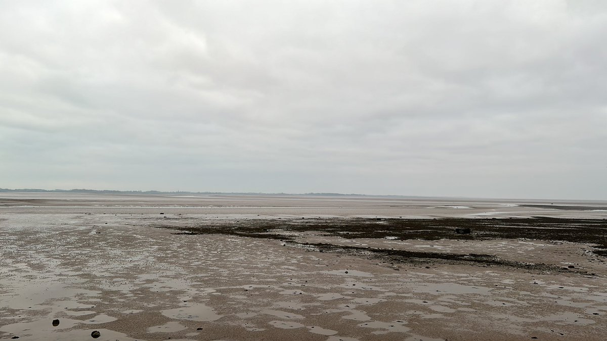 Ian Moore tweet media