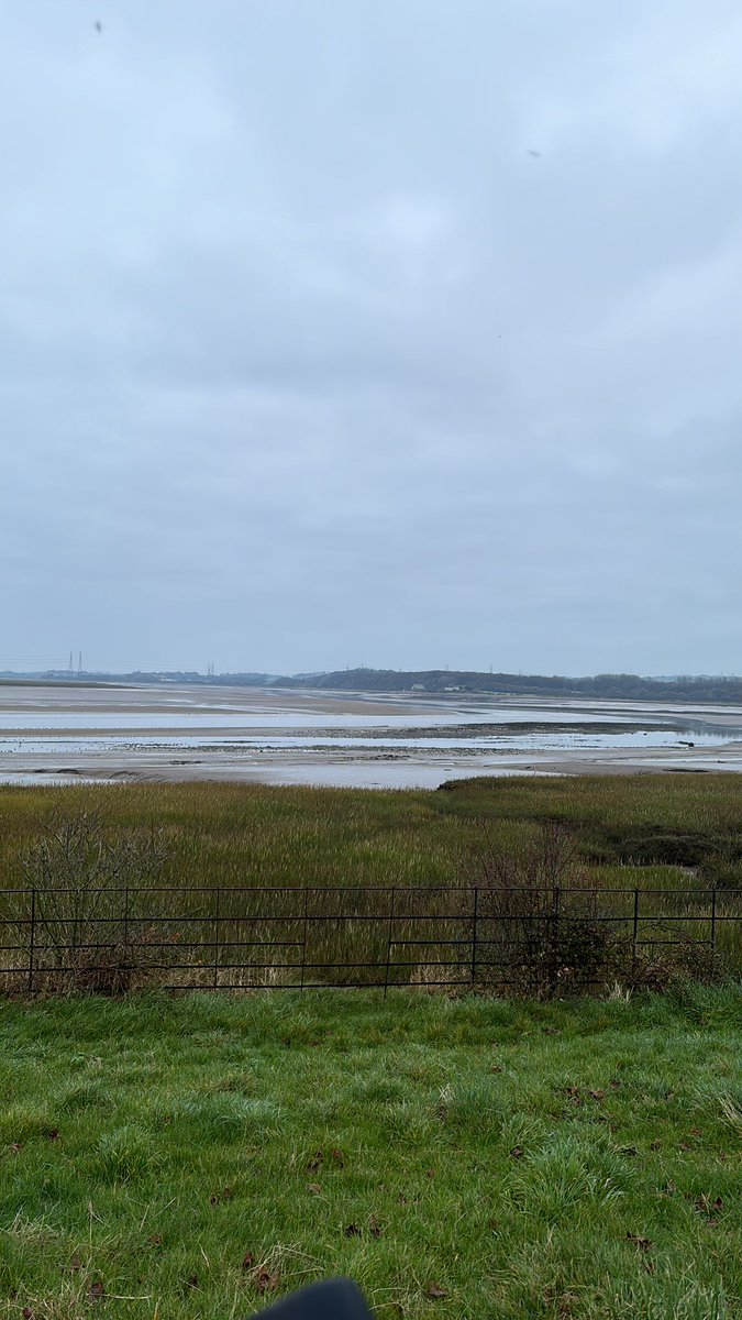 Ian Moore tweet media