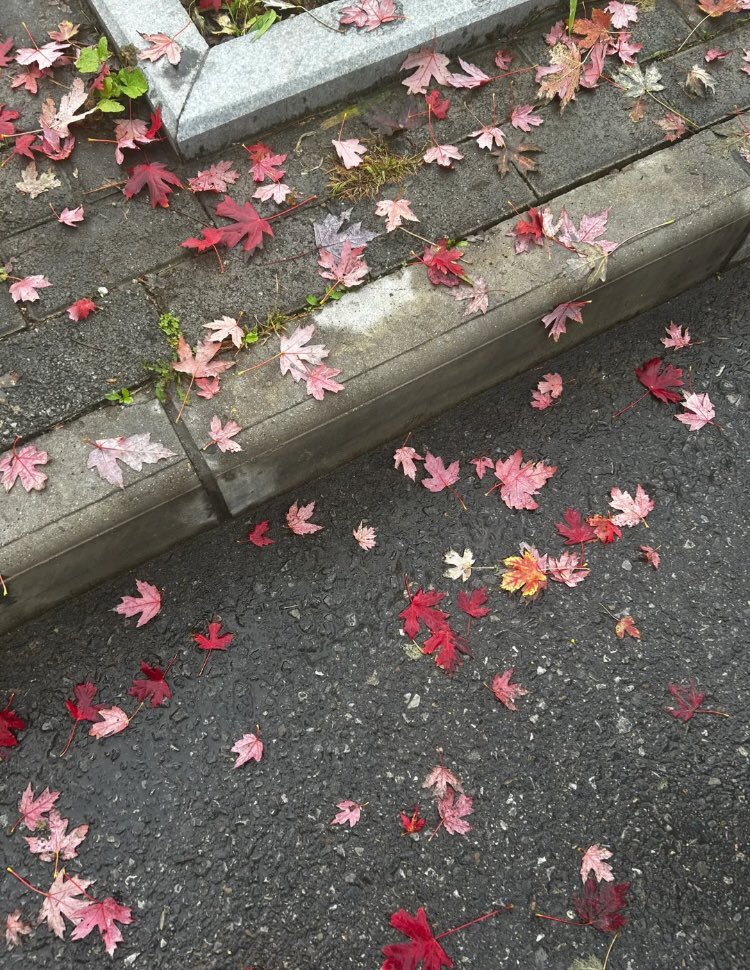 ‏ْ (@piinkifairy) on Twitter photo 