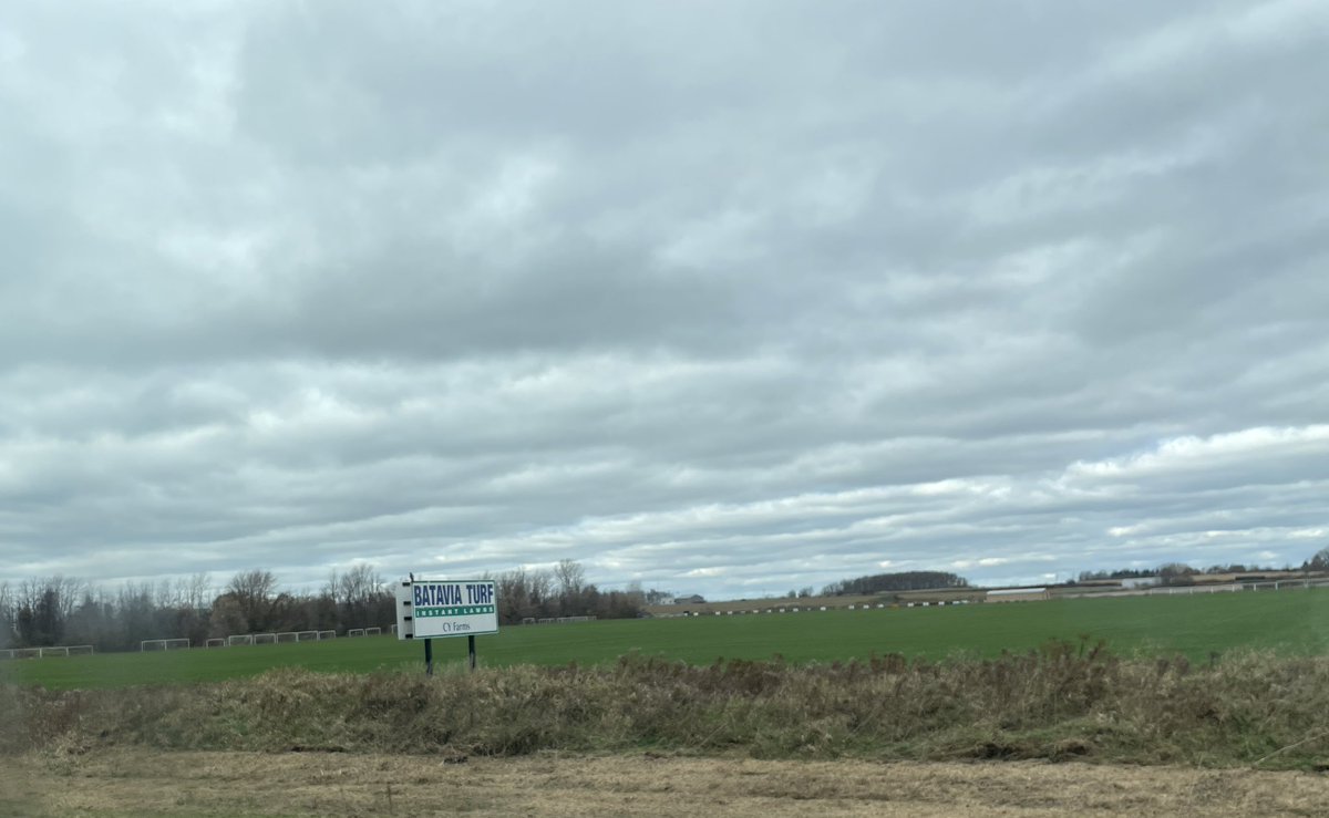 KoozieMan's tweet photo. Batavia Turf Farms 
@BataviaPartyZne https://t.co/2dp2uSd0js