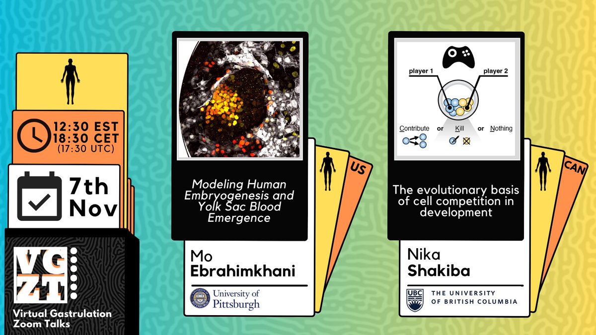 Virtual Gastrulation Zoom Talks (@vgzt2020_21) on Twitter photo Get ready for two exciting talks this Thursday! ✨
⁃Modeling human embryogenesis and yolk sac blood emergence with <a href="/MoEbrahimkhani/">Mo Ebrahimkhani</a>
⁃The evolutionary basis of cell competition in development with <a href="/nika_shakiba/">Nika Shakiba</a>
🗓️ Nov 7, 12:30 EST / 18:30 CET / 17:30 UTC 🕥 Get ready for two exciting talks this Thursday! ✨
⁃Modeling human embryogenesis and yolk sac blood emergence with <a href="/MoEbrahimkhani/">Mo Ebrahimkhani</a>
⁃The evolutionary basis of cell competition in development with <a href="/nika_shakiba/">Nika Shakiba</a>
🗓️ Nov 7, 12:30 EST / 18:30 CET / 17:30 UTC 🕥