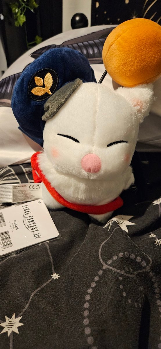 TheRyaccoon's tweet photo. I got a lil guy https://t.co/h7GQ99dcNO