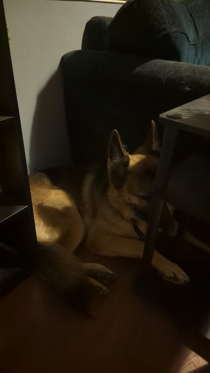 The Scorpion Queen 🦂 tweet media