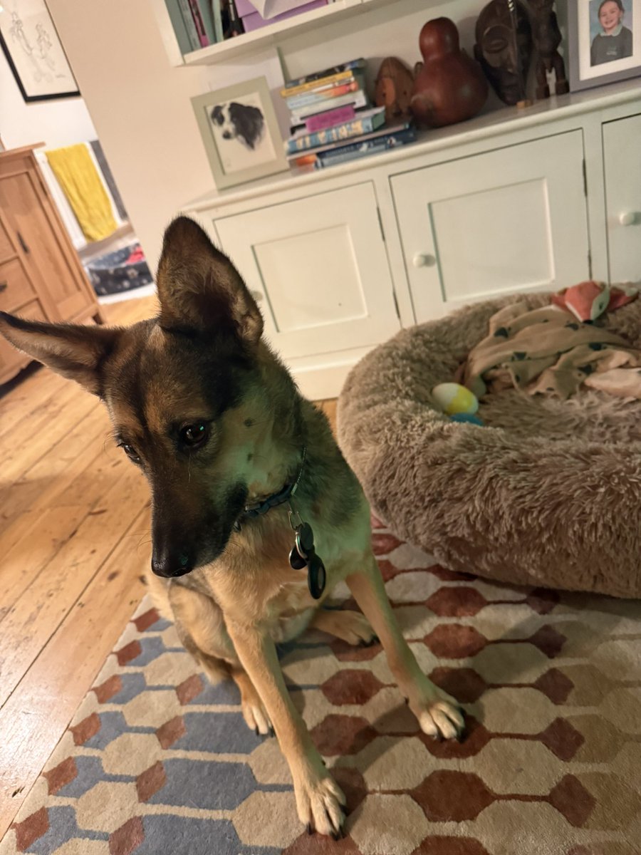 Rory Cellan-Jones tweet media