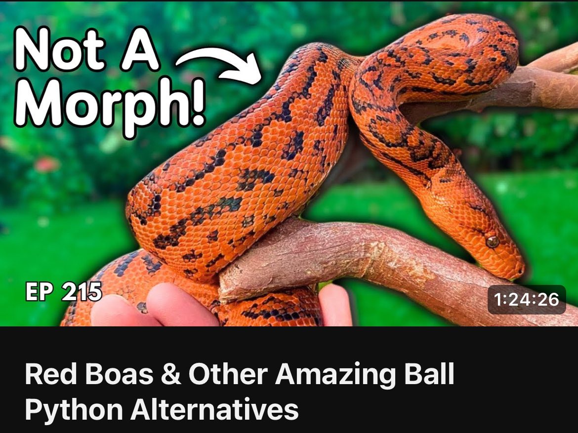 youtu.be/461wsIuIgl0?si…