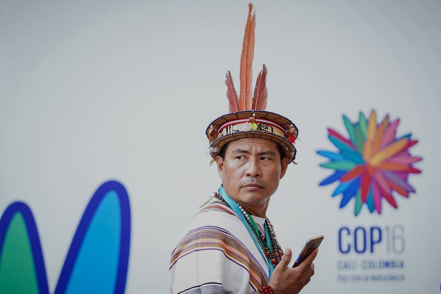 daviddelapaz's tweet image. Con un histórico reconocimiento a los pueblos indígenas y a las comunidades afrodescendientes en el cuidado de la biodiversidad, concluyó la #COP16, que en su decimosexta edición se desarrolló en la ciudad colombiana de #Cali 
xhtxs.cn/Yso