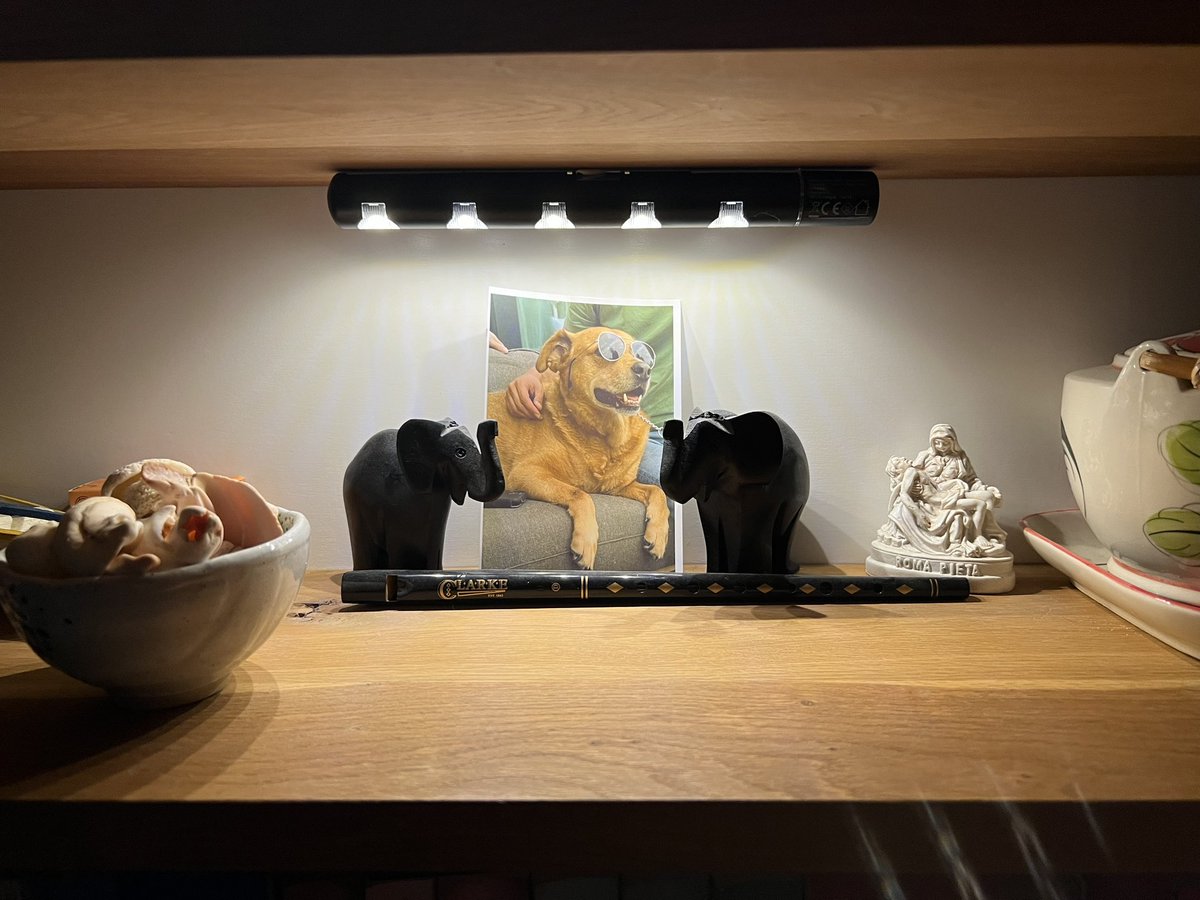 De liefste bonushond *2-11-23