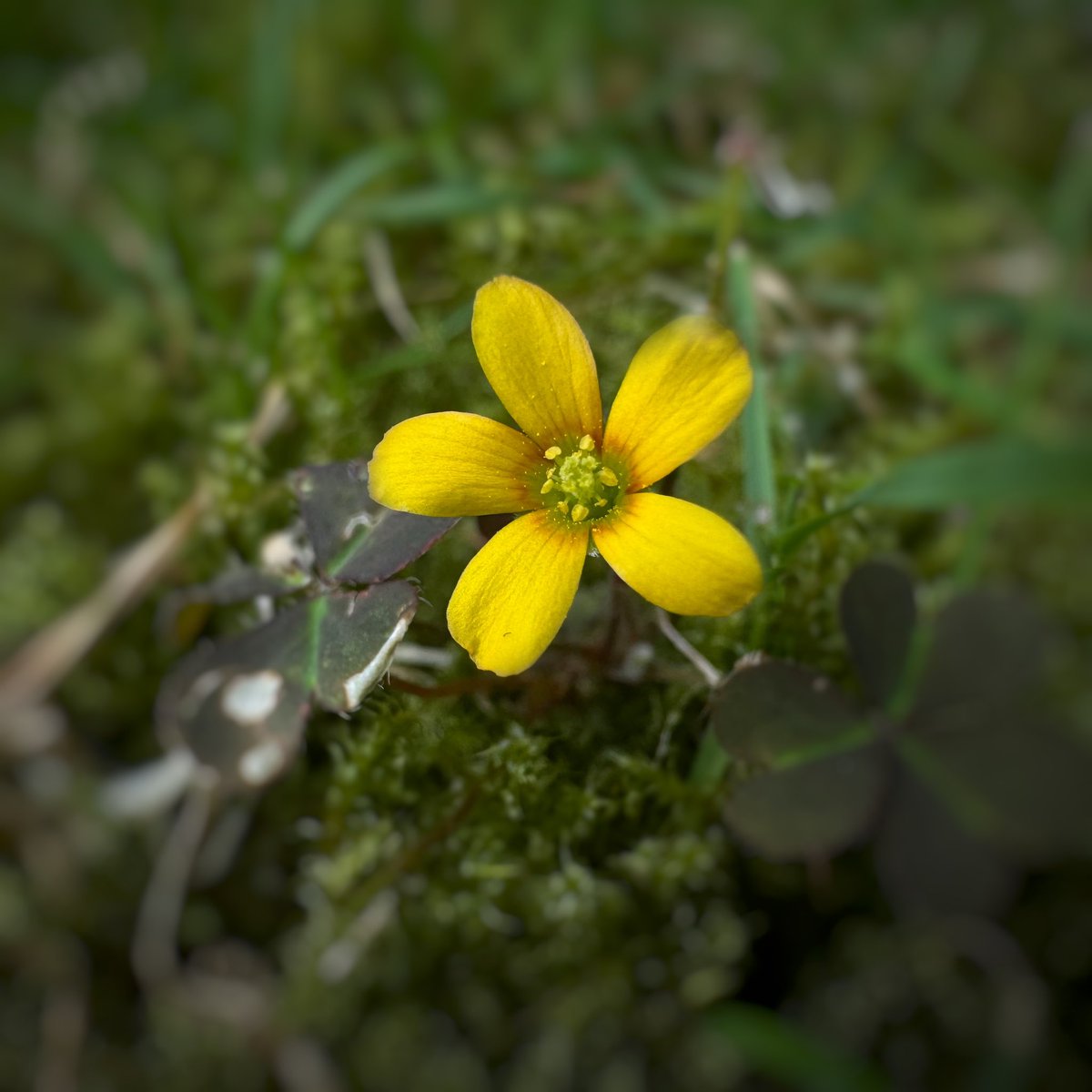 Gerald M Foto tweet media