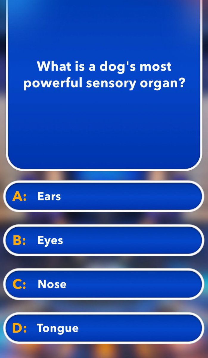 Brainy Bits Hub tweet media