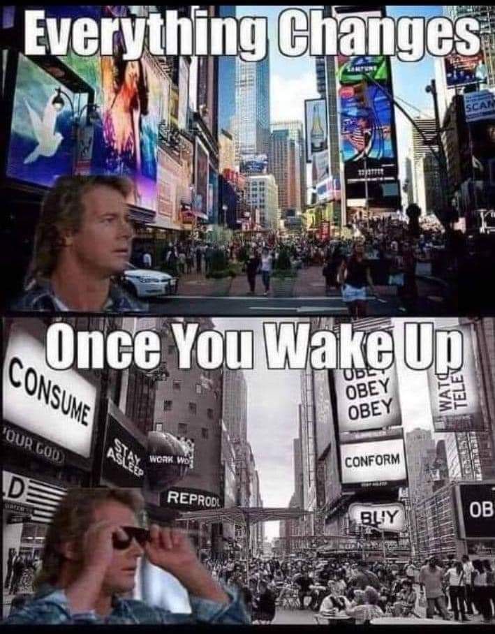 David Wolfe (@davidwolfe) on Twitter photo 