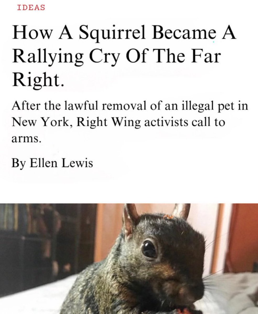 SierraWhiskey9's tweet photo. God damn alt right squirrels! https://t.co/nFlMMKJFGF