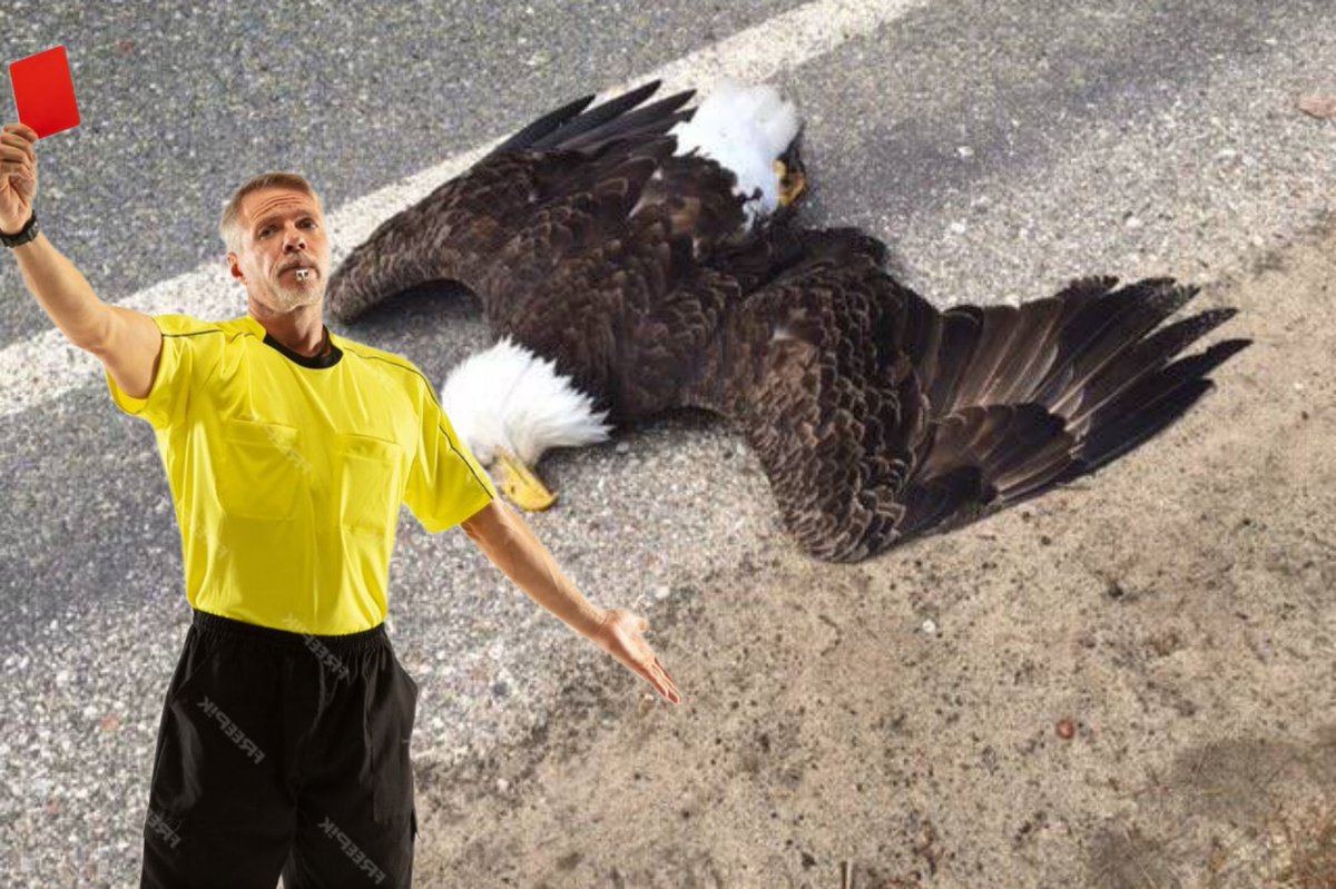 HAKEME KARŞI KAYBETTİ (!) 🤣

#BJKvKAS