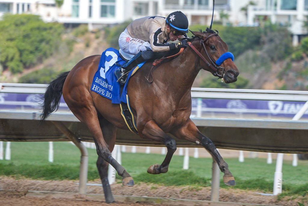 S_T_A_Y_G_O_L_D's tweet image. #BayakoaStakes

1st.  #HopeRoad
Jockey #JuAnJoSeHernandez
Trainer #BobBaffert ( @BobBaffert )

#BreedersCupWorldChampionships
#DelmarRaceCourse #LONGINES
#horseracing