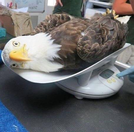 oznkrtlgl's tweet image. Yapı var ağğğbi çete varrr #8jk