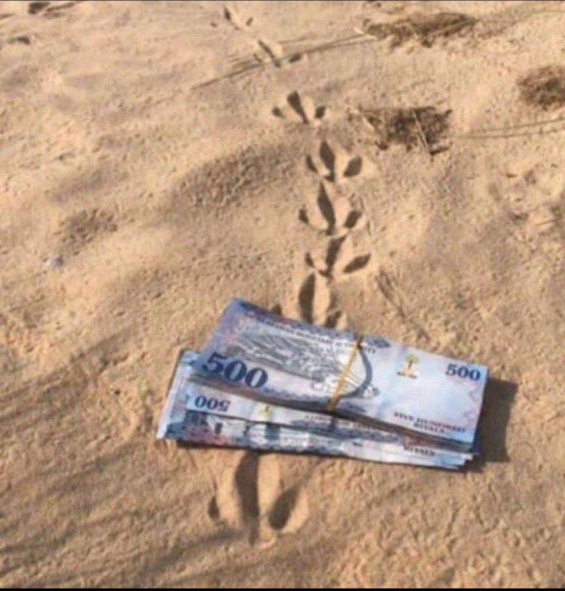 فال خير tweet media