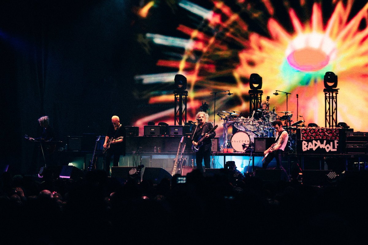 tompallantarmy's tweet image. this is my new personality