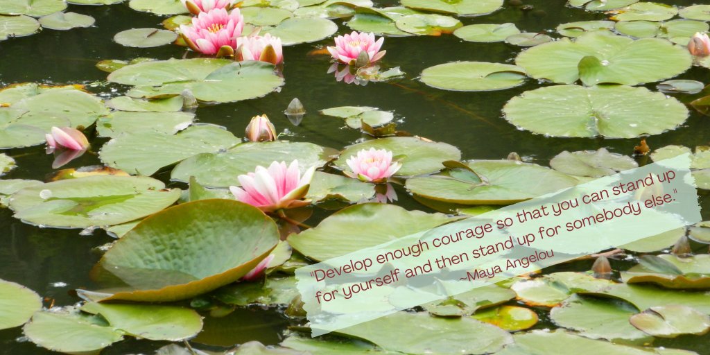 "Develop enough courage so that you can stand up for yourself and then stand up for somebody else." ~Maya Angelou #electionday2024 #ChooseKindness #KindnessMatters amzn.to/2STbrcK