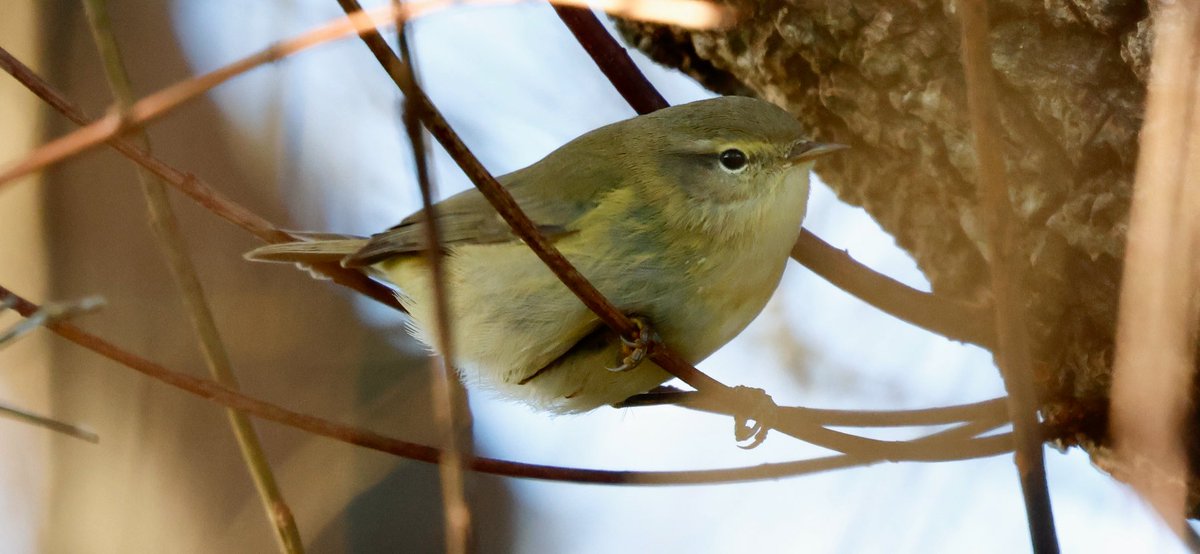 Aidan G. Kelly tweet media