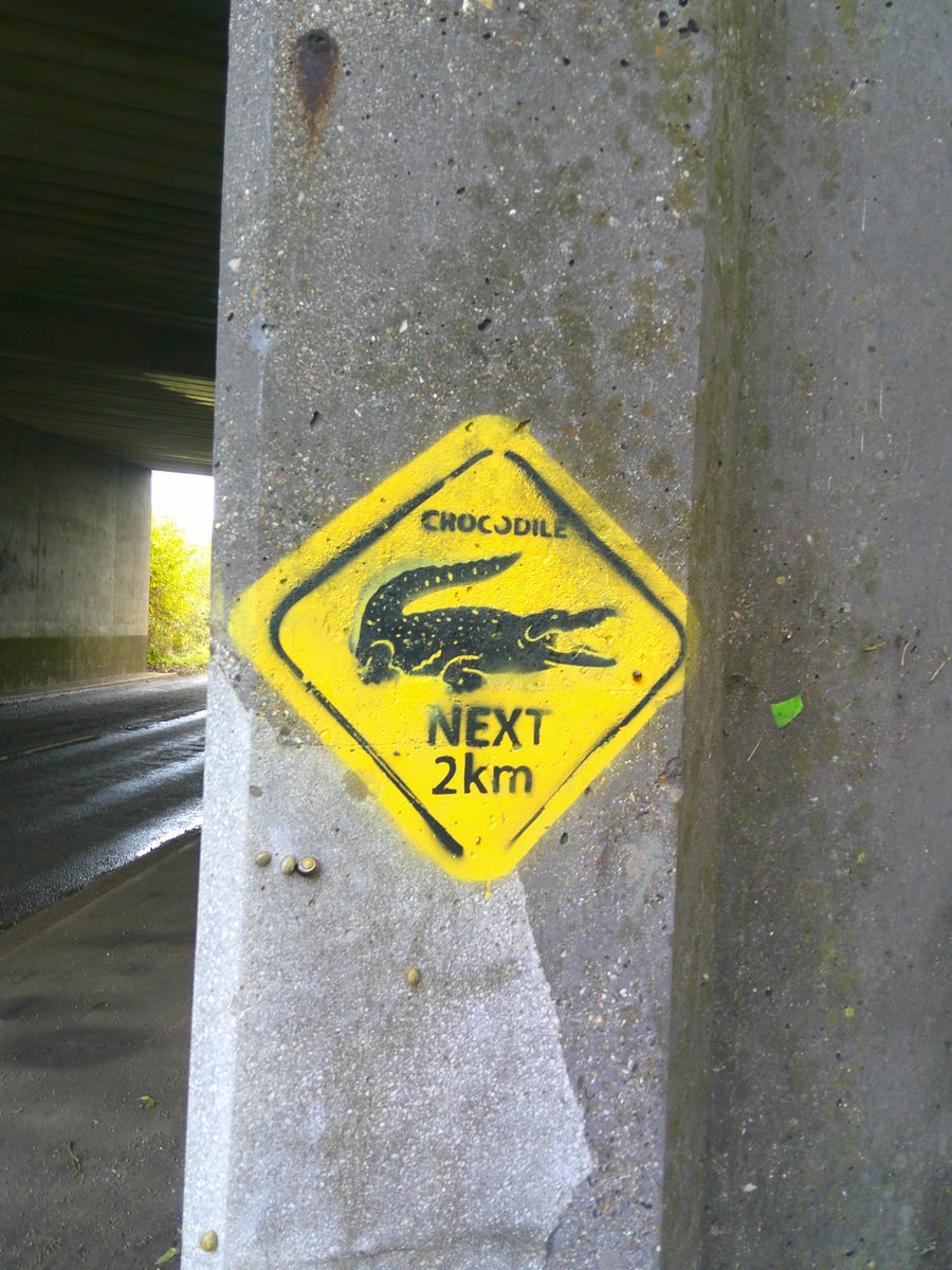 HelenRo88542779's tweet image. 🐊An underpass in Rutland... no idea🤷‍♀️!! #SignsOnSunday #SundayYellow #SpottedOnMyWalk
