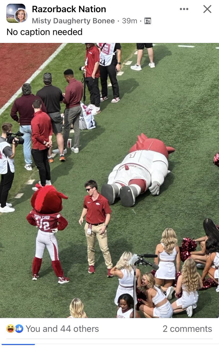 DanielSlape's tweet photo. @RazorbackFB right now!! https://t.co/696l72MqBI