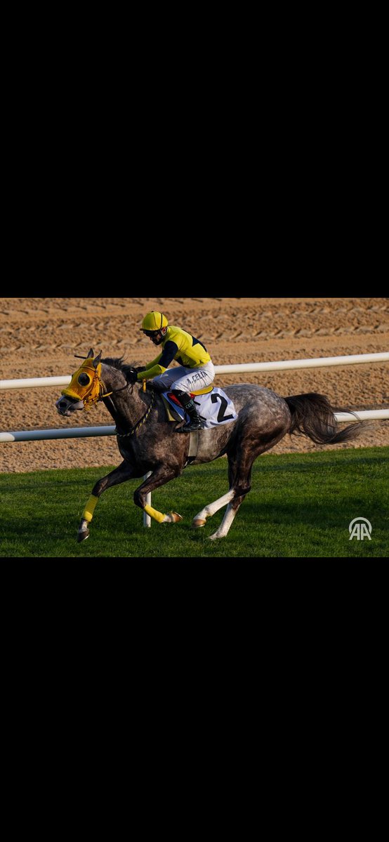 Kelimeler yetmez sana biliyorum ama sen her zaman herkese gereken cevabı en iyi şekilde veriyorsun Allah senin gibi bir şampiyonu herkese nasip etsin inşallah 
Emeği geçen başta Necdet turan’a Emir akpolat’a ve Ahmet çelik’e teşekkür ederim 🙏 🙏🙏👏👏👏🧿🧿🧿