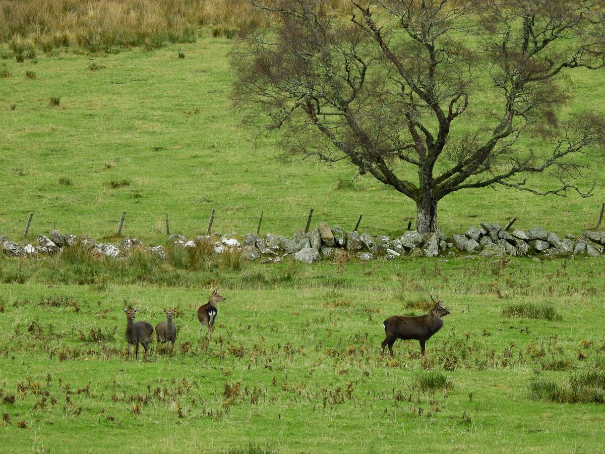 Gus Routledge tweet media