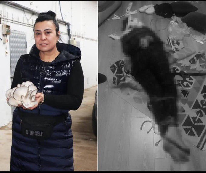 16 yaşındaki Ayşegül kendisine tecavüz etmeye kalkışan Afgan tarafından öldürüldü!
Çiğdem eskidemirci 4 Afgan tarafından öldürülüp bahçeye gömüldü!
16 yaşındaki Ahmet Efe 3 Afgan tarafından boğazından bıçaklanarak öldürüldü!
Canan Cerit İran uyruklu çalışanları tarafından domuz