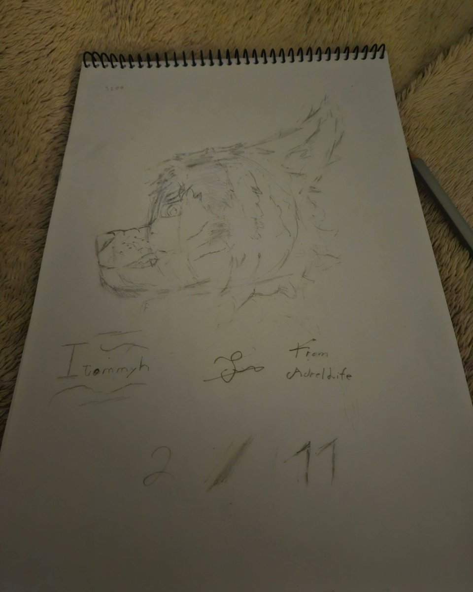 adrelLife tweet media