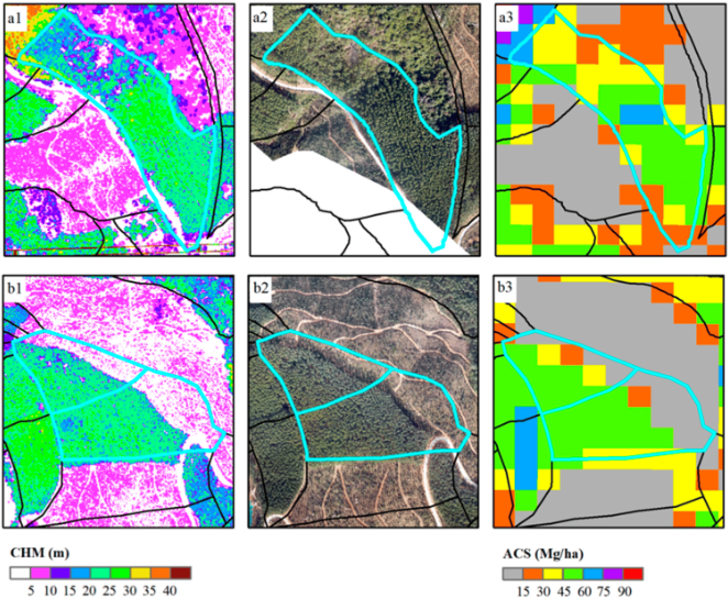 RemoteSens_MDPI's tweet image. 🌳🌳 #Forest Structure Simulation of #Eucalyptus Plantation Using Remote-Sensing-Based Forest #AgeData and #3PG Model

✍️ Yi Zhang et al.

🔗 mdpi.com/2072-4292/15/1…