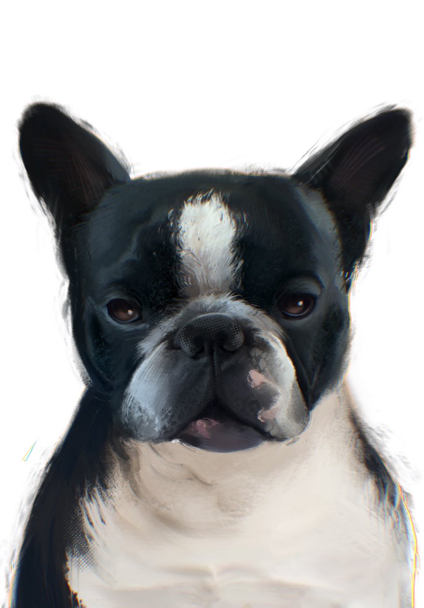 chayhoo_'s tweet photo. I'm opening cheap commissions for animals' portraits ! headshots like these are for 15-30$ ♡ I can also draw full body!  #comissionsopen #opencommissions https://t.co/b3FPAaeTbs