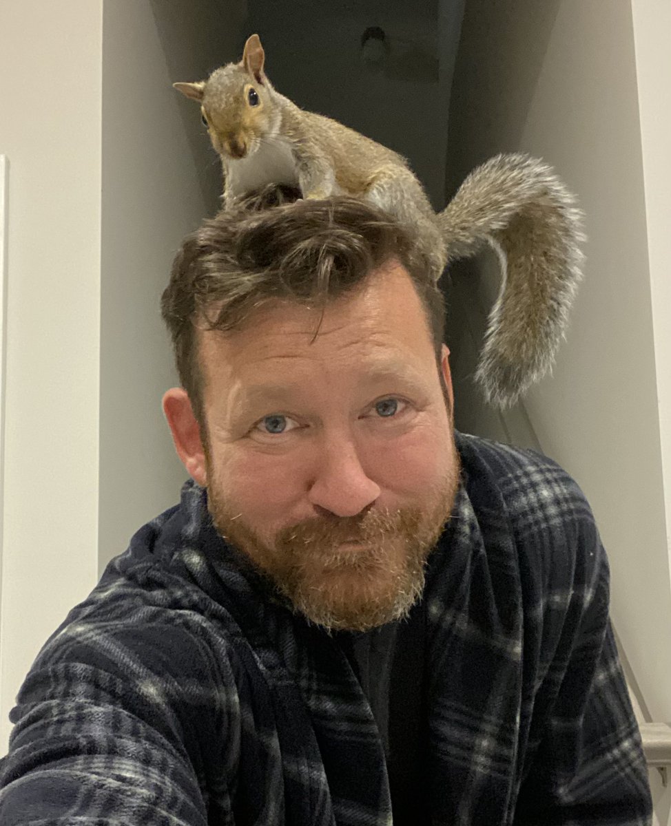 DavidLamar's tweet photo. @elonmusk Come and take him! https://t.co/uS4I5oitog