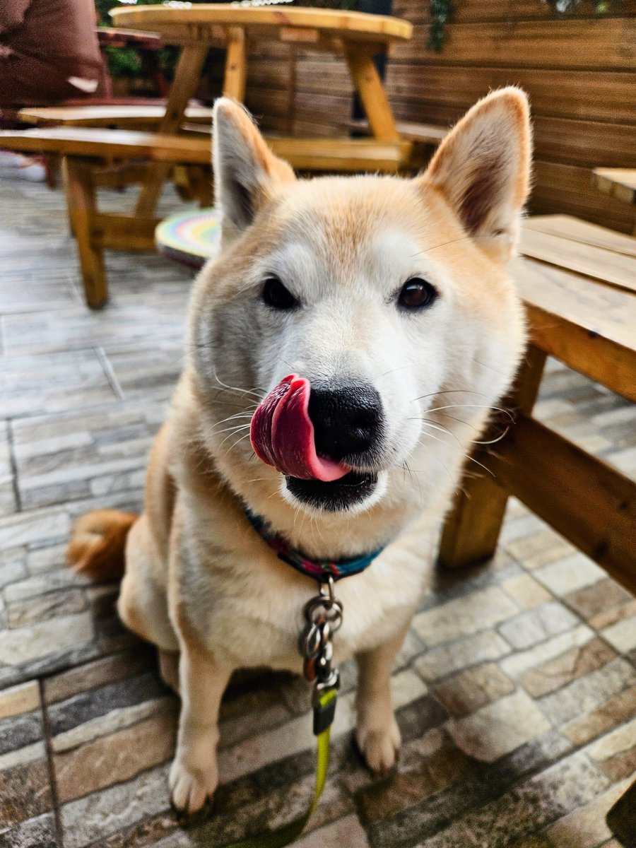Mlem??