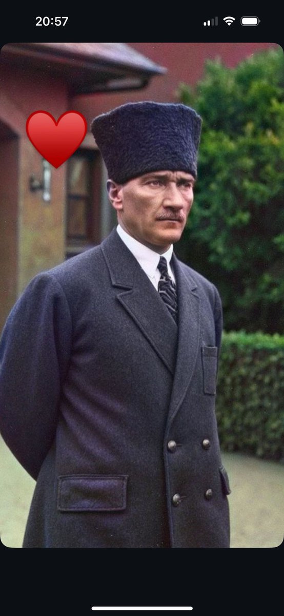 Şeyda Akıllı (@cizgi_li) on Twitter photo 