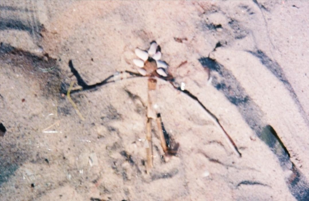 📱| Cute (Ruby via IG) #rubycruz