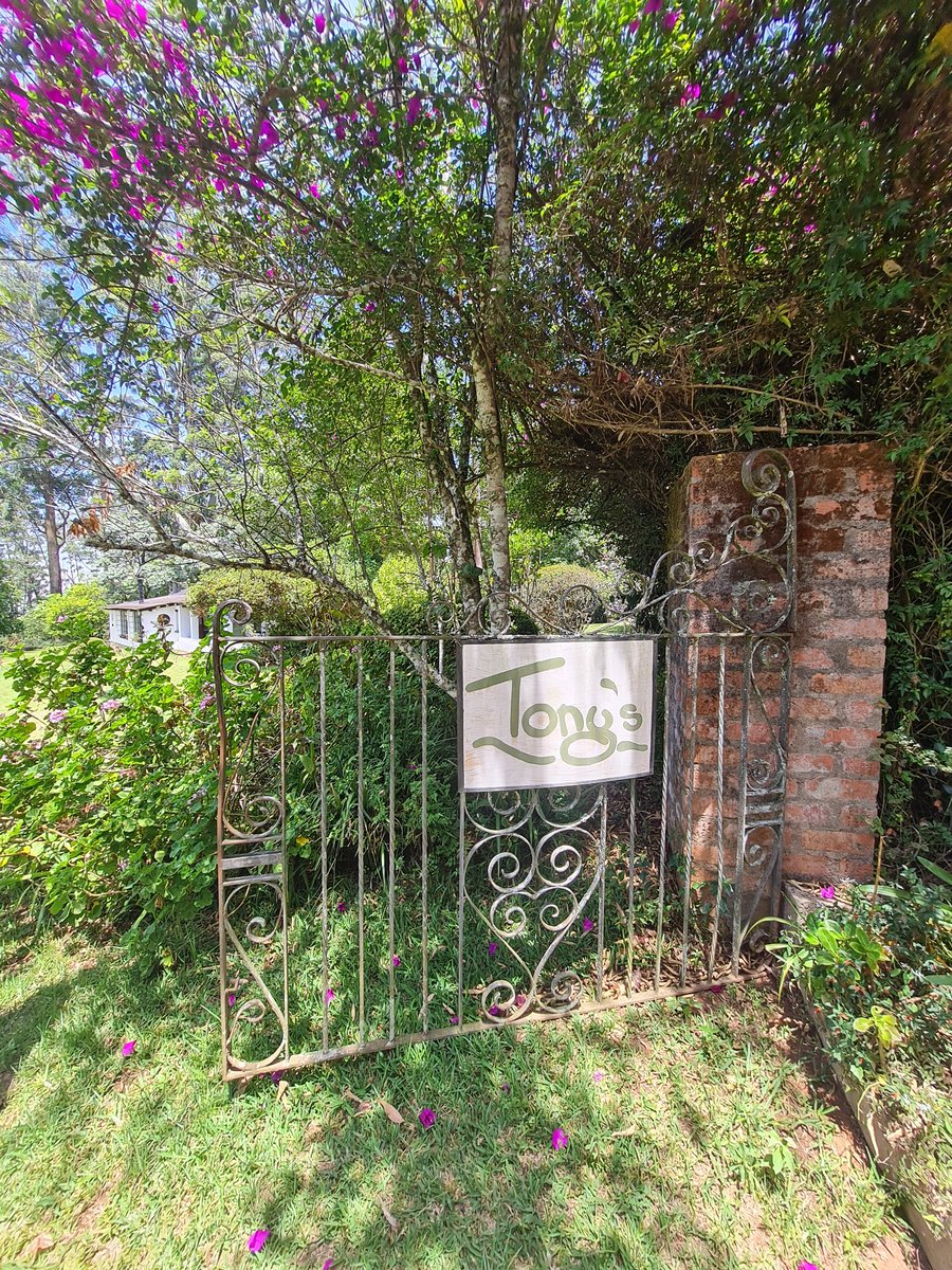 I'm so grateful for some much needed fresh air &amp; death by chocolate cake in Vumba. 🇿🇼

#VisitZimbabwe #Tonys