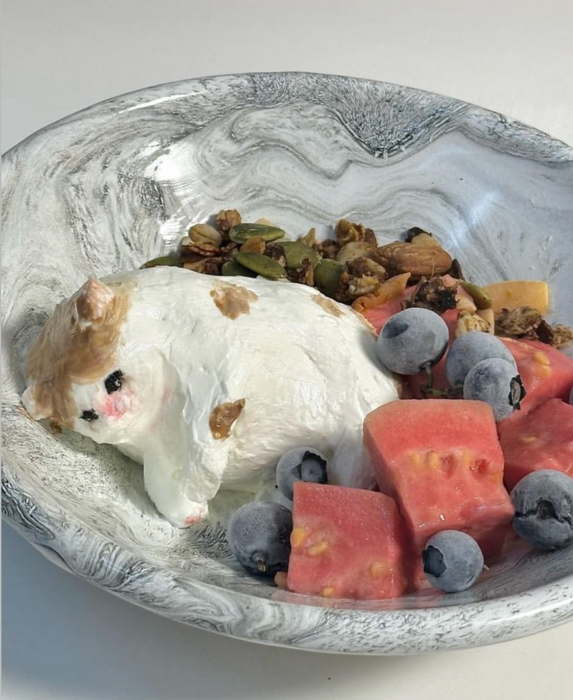 cat yogurt 🤍