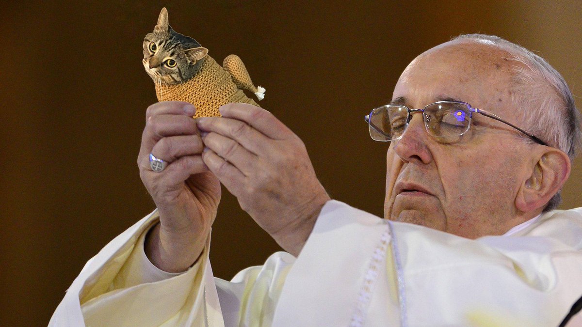 When BTC rise, $TC sends 🚀
Its turkeycat szn
#thanksgiving szn